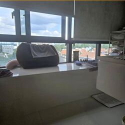 D'Leedon (D10), Condominium #525486291